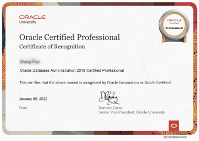 ORACLE OCA+OCP認證培訓(xùn) 開啟專業(yè)數(shù)據(jù)庫管理職業(yè)生涯